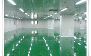 三十萬(wàn)級(jí)無(wú)塵車(chē)間簡(jiǎn)介【東鑫凈化】